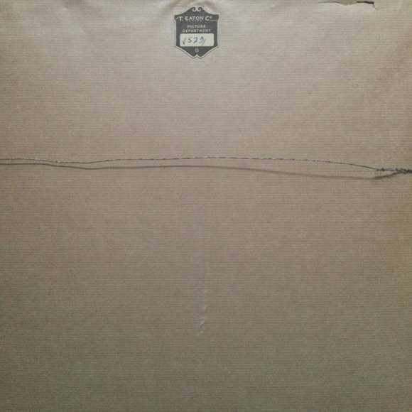 Vintage T.eaton Co wall art cross stich needlepoint embroidery framed pheasant - Picture 4 of 4